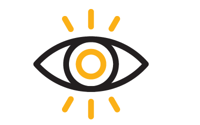 Vision