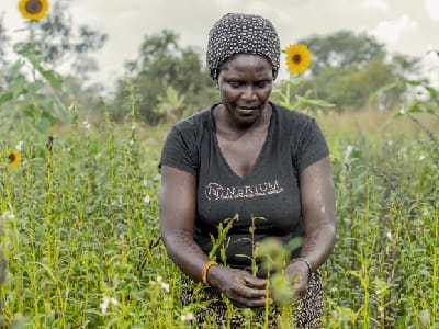 Infomercial Media Agency - Women in Agriculture