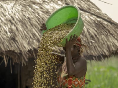 Infomercial Media Agency - Women in Agriculture - Hoima District